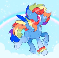 Size: 2048x1998 | Tagged: safe, artist:alexbeeza, oc, oc only, pegasus, pony, colored wings, eyebrow piercing, multicolored hair, multicolored wings, nose piercing, nose ring, piercing, rainbow hair, rainbow tail, rainbow wings, solo, tail, wings