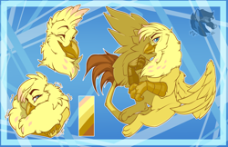 Size: 2380x1540 | Tagged: safe, artist:bagelbytes, oc, oc only, oc:golden plume, griffon, male, reference sheet, solo