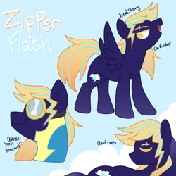 Size: 1300x1300 | Tagged: safe, artist:orcabunnies, oc, oc only, pegasus, pony, reference sheet