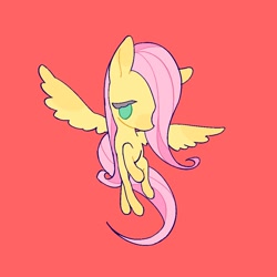 Size: 1000x1000 | Tagged: safe, artist:6ji5z6gmst1j2vs, fluttershy, pegasus, pony, g4, female, simple background, solo