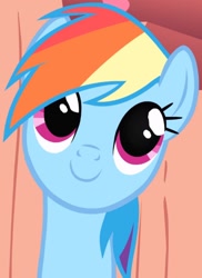 Size: 1005x1384 | Tagged: safe, screencap, rainbow dash, pegasus, pony, g4, my little pony: friendship is magic, season 1, sonic rainboom (episode), cropped, cute, dashabetes, female, golden oaks library, mare, smiling, solo, staircase, stairs