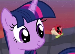 Size: 1080x781 | Tagged: safe, screencap, twilight sparkle, alicorn, insect, ladybug, pony, g4, it ain't easy being breezies, cropped, female, smiling, solo, twilight sparkle (alicorn)