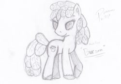 Size: 1237x861 | Tagged: safe, artist:phillnana, oc, earth pony, pony