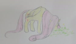 Size: 2048x1197 | Tagged: safe, artist:riceflowers_art, fluttershy, pegasus, pony, g4, cute, eating, eating grass, eyes closed, female, grass, grazing, hair over one eye, head down, herbivore, horses doing horse things, mare, shyabetes, solo, traditional art