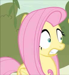 Size: 381x415 | Tagged: safe, screencap, fluttershy, pegasus, pony, g4, sounds of silence, cropped, scared, solo