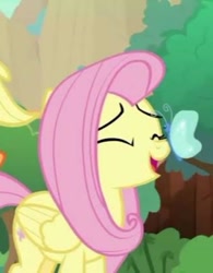 Size: 323x415 | Tagged: safe, screencap, fluttershy, butterfly, pegasus, pony, g4, sounds of silence, butterfly on nose, happy, insect on nose