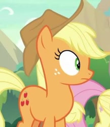 Size: 361x415 | Tagged: safe, screencap, applejack, fluttershy, earth pony, pony, g4, hat