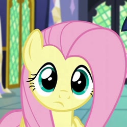 Size: 414x415 | Tagged: safe, screencap, fluttershy, pegasus, pony, g4, my little pony: friendship is magic, the hooffields and mccolts, cropped, looking at you, solo, twilight's castle