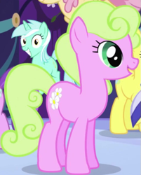 Size: 517x644 | Tagged: safe, screencap, daisy, flower wishes, lemon hearts, lyra heartstrings, earth pony, pony, friendship is magic, g4, background character, background pony, cropped, female, mare, solo focus