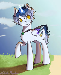 Size: 995x1220 | Tagged: safe, artist:liliethphantom, oc, pony, unicorn, solo