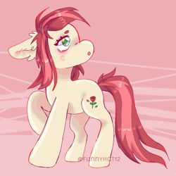 Size: 1000x1000 | Tagged: safe, artist:funnyhat12, roseluck, earth pony, pony, g4, gradient background, solo