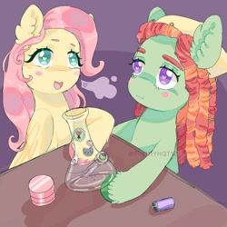 Size: 1500x1500 | Tagged: safe, artist:funnyhat12, fluttershy, tree hugger, earth pony, pegasus, pony, g4, bong, dreadlocks, drug use, drugs, duo, female, flutterhigh, gradient background, heart, heart eyes, high, mare, table, wingding eyes
