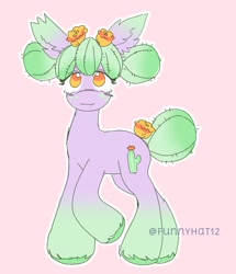 Size: 1128x1313 | Tagged: safe, artist:funnyhat12, oc, oc only, cactus pony, earth pony, original species, plant pony, pony, adoptable, cactus, simple background, solo