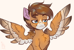 Size: 3260x2200 | Tagged: safe, artist:falafeljake, oc, oc only, oc:barnstorme, pegasus, pony, chest fluff, colored wings, high res, lidded eyes, male, multicolored wings, pegasus oc, simple background, spread wings, stallion, white background, wings