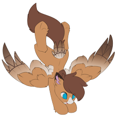 Size: 2046x1983 | Tagged: safe, artist:beardie, oc, oc:barnstorme, pegasus, pony, flying, pegasus oc, solo, tail, tail feathers