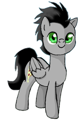 Size: 576x888 | Tagged: safe, artist:aresshia, editor:pizza split, oc, oc:pizzasplit, pegasus, pony, male, simple background, white background