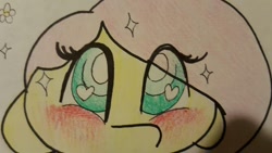 Size: 1280x720 | Tagged: safe, artist:fluttersdoodles, part of a set, fluttershy, pegasus, pony, g4, part of a series, pencil drawing, solo, sparkly eyes, traditional art, wingding eyes