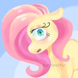 Size: 971x968 | Tagged: safe, artist:funnyhat12, fluttershy, pony, g4, bust, crying, gradient background, portrait, solo