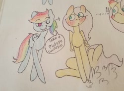 Size: 1280x941 | Tagged: safe, artist:fluttersdoodles, part of a set, fluttershy, rainbow dash, pegasus, pony, g4, blushing, duo, female, lesbian, ship:flutterdash, shipping, traditional art