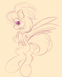 Size: 732x915 | Tagged: safe, artist:tamabel, cloudchaser, pony, g4, simple background, sketch, solo