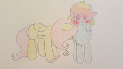 Size: 1280x720 | Tagged: safe, artist:fluttersdoodles, fluttershy, rainbow dash, pegasus, pony, g4, blushing, bump, duo, female, lesbian, ship:flutterdash, shipping, traditional art