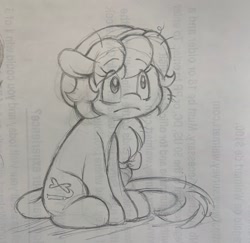 Size: 2048x1988 | Tagged: safe, artist:tamabel, oc, oc only, earth pony, pony, hat, solo, traditional art