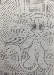 Size: 1466x2048 | Tagged: safe, artist:tamabel, oc, oc only, earth pony, pony, hat, solo, traditional art