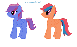 Size: 856x520 | Tagged: safe, artist:starcupcakeadopts, oc, oc only, pegasus, pony, blue fur, duo, eyelashes, female, folded wings, fuschia eyes, looking offscreen, magical lesbian spawn, male, multicolored mane, offspring, orange fur, parent:rainbow dash, parent:scootaloo, parents:scootadash, simple background, smiling, white background, wings