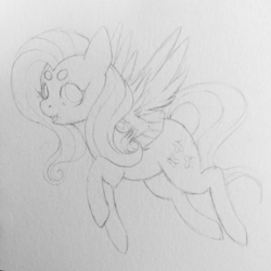 Size: 894x894 | Tagged: safe, artist:veincchi, fluttershy, pegasus, pony, g4, sketch, traditional art