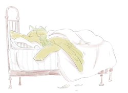 Size: 640x466 | Tagged: safe, artist:prunesart, pegasus, pony, bed, feather, sleeping, solo