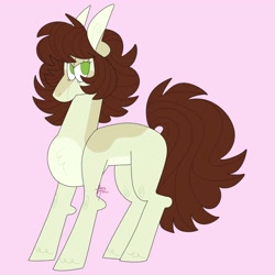 Size: 4000x4000 | Tagged: safe, artist:fizzlefer, oc, oc only, earth pony, pony, simple background, solo