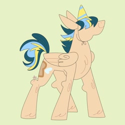 Size: 4000x4000 | Tagged: safe, artist:fizzlefer, oc, oc only, pegasus, pony, hat, party hat, simple background, solo