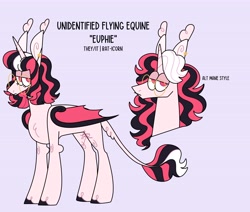 Size: 4096x3469 | Tagged: safe, artist:fizzlefer, oc, oc only, oc:euphie, alicorn, bat pony, bat pony alicorn, pony, bat wings, glasses, horn, reference sheet, simple background, solo, wings