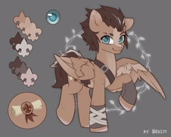 Size: 2500x2000 | Tagged: safe, artist:shelti, oc, oc only, pegasus, pony, blaze (coat marking), coat markings, colored hooves, colored pupils, commission, countershading, facial markings, gray background, happy, high res, looking at you, male, raised hoof, reference sheet, scar, simple background, smiling, stallion, standing, strap, wings