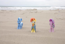 Size: 1280x854 | Tagged: safe, artist:dingopatagonico, starlight glimmer, sunburst, trixie, pony, unicorn, g4, beach, photo, toy