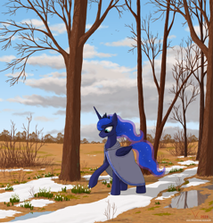 Size: 1657x1731 | Tagged: safe, artist:eriada, princess luna, alicorn, pony, g4, cloak, clothes, female, flower, mare, scenery, signature, snowdrop (flower), solo, tree