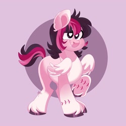 Size: 4000x4000 | Tagged: safe, artist:fizzlefer, oc, oc only, pegasus, pony, simple background, solo, stitches