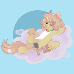 Size: 4000x4000 | Tagged: safe, artist:fizzlefer, oc, oc only, pegasus, pony, cloud, collar, gradient background, solo