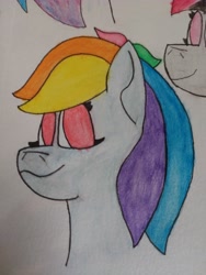 Size: 4608x3456 | Tagged: safe, artist:acid flask, rainbow dash, pegasus, pony, g4, 2d, art dump, colored, drawing, female, looking at you, mare, multicolored hair, paper, rainbow hair, smiling, smiling at you, solo, traditional art, watercolor painting