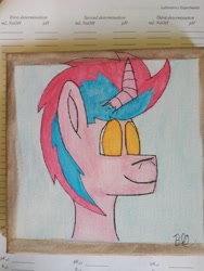 Size: 4608x3456 | Tagged: safe, artist:acid flask, oc, oc:acid flask, zebra, zebracorn, 2d, art dump, canvas, drawing, happy, looking forward, male, paper, smiling, solo, stallion, traditional art, watercolor painting