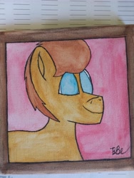 Size: 4608x3456 | Tagged: safe, artist:acid flask, oc, oc:bold action, 2d, art dump, bust, canvas, drawing, looking at you, male, paper, portrait, signature, smiling, smiling at you, solo, stallion, traditional art, watercolor painting