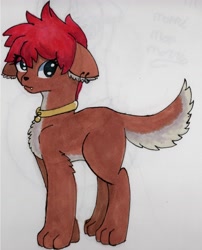 Size: 3460x4280 | Tagged: safe, artist:morrigun, derpibooru exclusive, oc, oc only, dog, pony, clothes, ear piercing, earring, female, fluffy tail, jewelry, looking at you, mare, marker drawing, necklace, piercing, red hair, simple background, solo, tail, traditional art, white background