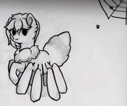 Size: 3839x3208 | Tagged: safe, artist:morrigun, derpibooru exclusive, oc, oc only, arachnid, fly, insect, monster pony, original species, spider, spiderpony, cute, eyes open, female, grayscale, high res, looking sideways, mare, monochrome, multiple legs, multiple limbs, simple background, spider web, ten legs, white background