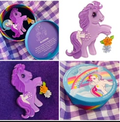 Size: 710x725 | Tagged: safe, blossom, starshine, pony, g1, irl, photo