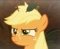 Size: 415x340 | Tagged: safe, screencap, applejack, earth pony, pony, g4, going to seed, season 9, angry, cropped, cute, female, filly, flashback, foal, freckles, frown, jackabetes, leaf, looking up, madorable, messy hair, messy mane, orange coat, solo, twig, yellow hair, yellow mane, younger