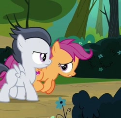 Size: 406x394 | Tagged: safe, screencap, rumble, scootaloo, pegasus, pony, g4, marks and recreation, colt, cropped, duo, duo male and female, female, filly, foal, looking at each other, looking at someone, male