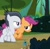 Size: 406x394 | Tagged: safe, screencap, rumble, scootaloo, pegasus, pony, g4, marks and recreation, colt, cropped, duo, duo male and female, female, filly, foal, looking at each other, looking at someone, male