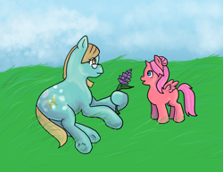 Size: 1528x1181 | Tagged: safe, artist:mistylake, oc, alicorn, earth pony, pony, alicorn oc, duo, earth pony oc, female, horn, wings