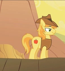 Size: 372x404 | Tagged: safe, screencap, braeburn, earth pony, pony, g4, over a barrel, male, stallion, standing