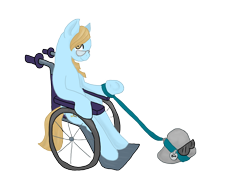 Size: 3300x2550 | Tagged: safe, artist:mistylake, oc, oc only, pony, female, high res, pet rock, simple background, solo, transparent background, wheelchair